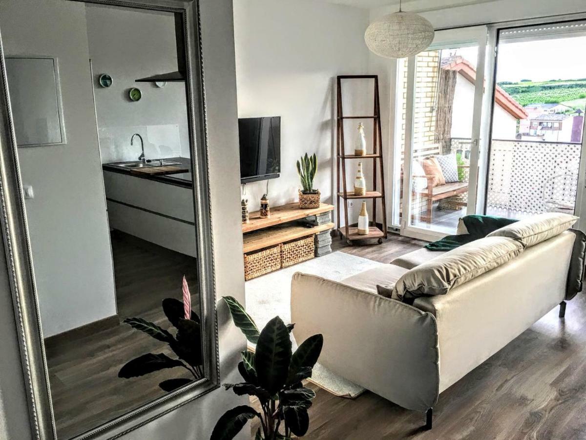 Apartamento Gaztainondoak Lanciego Exterior photo